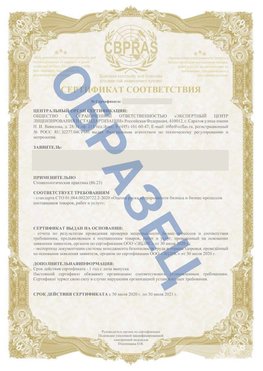 Образец Сертификат СТО 01.064.00220722.2-2020 Нижние Серги Сертификат СТО 01.064.00220722.2-2020 
